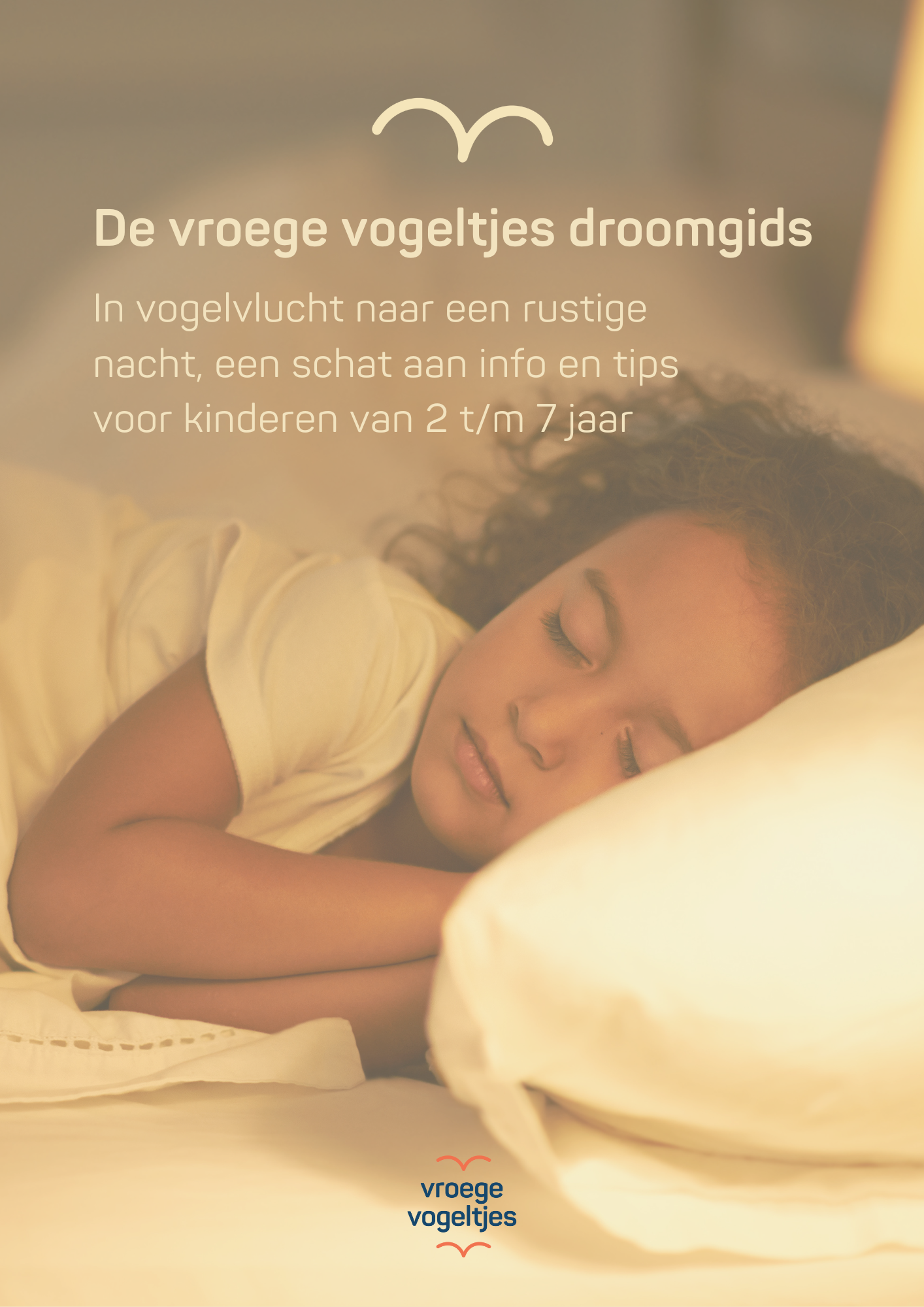 Droomgids e-book