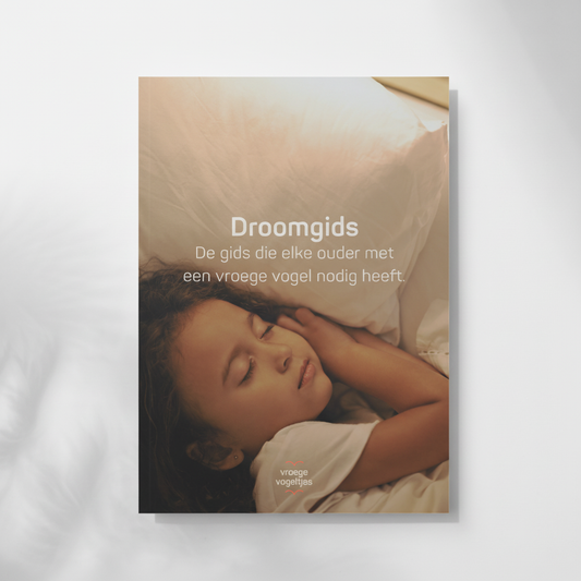 Droomgids e-book