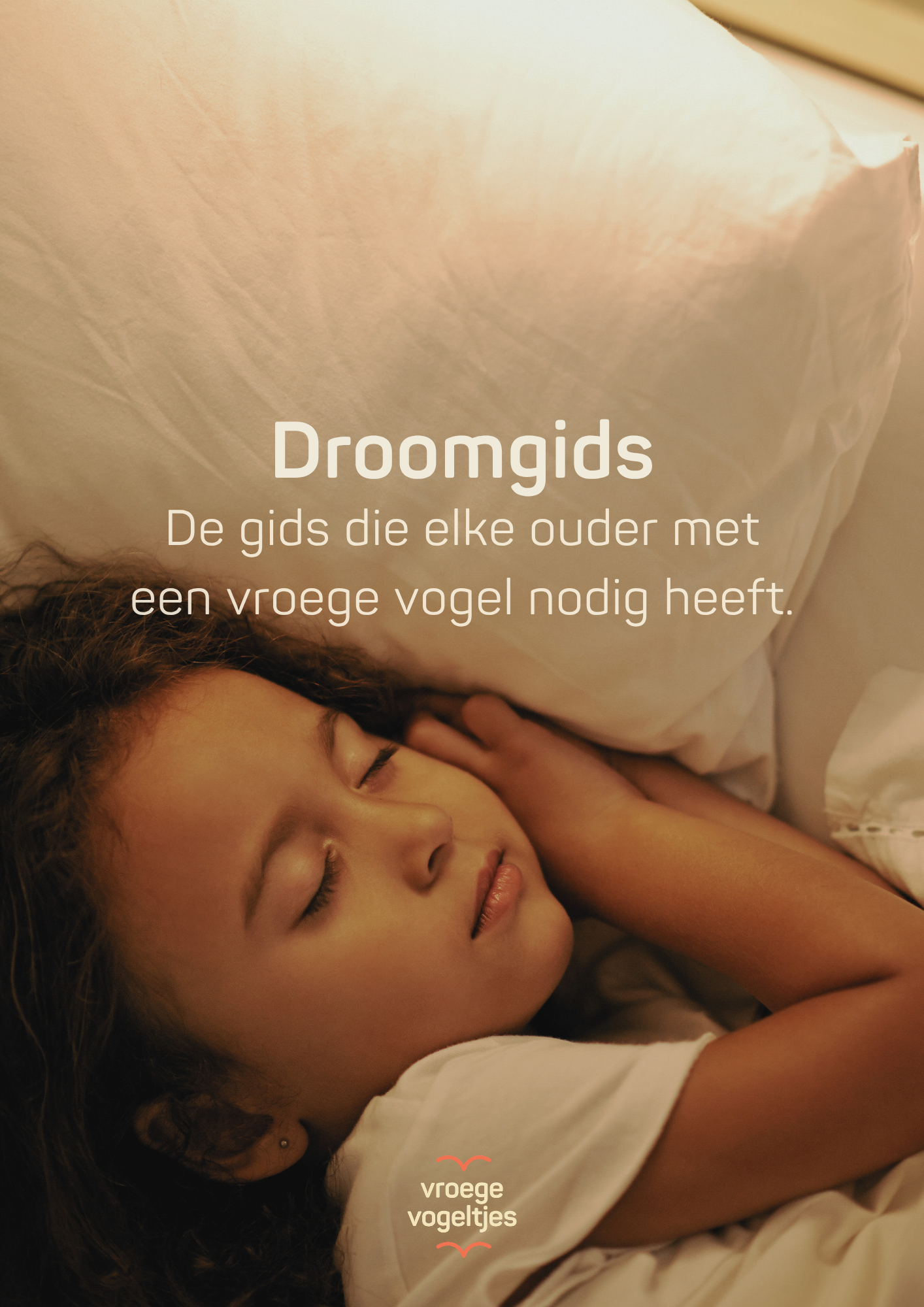 Droomgids e-book
