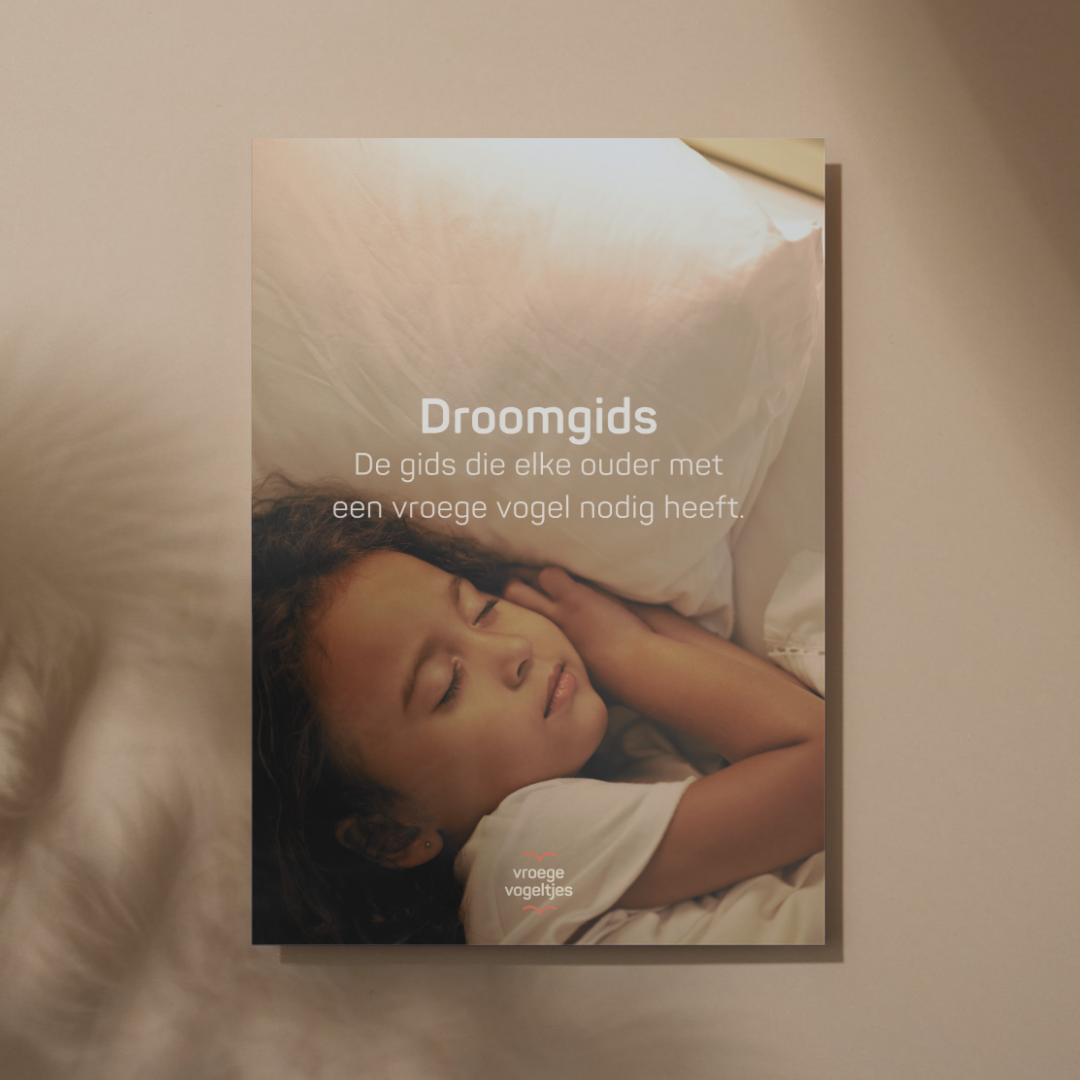 Droomgids e-book